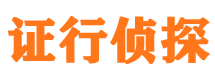 武冈市私家侦探